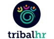 HR Services in Essex from Tribal HR